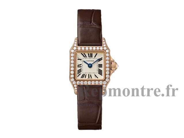 Réplique Montre Cartier Santos Demoiselle Petit WF902006 - Cliquez sur l'image pour la fermer