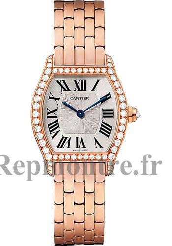 Réplique Montre Cartier Tortue WA501010 argented Flinque Dial Femmes - Cliquez sur l'image pour la fermer