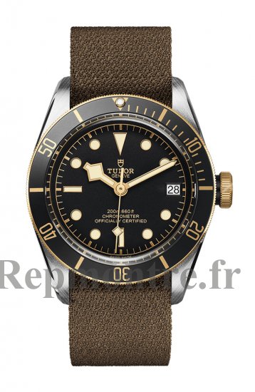 Réplique Tudor Heritage Black Bay Steel and Gold montre 41mm M79733N-0005 - Cliquez sur l'image pour la fermer