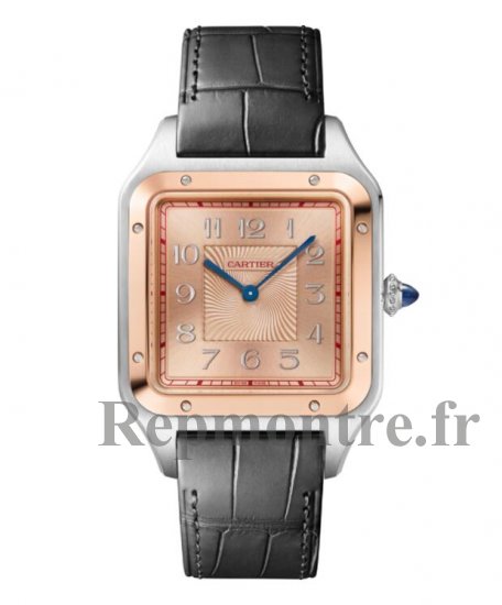 Replique Cartier Santos Dumont Extra Large Model W2SA0025 - Cliquez sur l'image pour la fermer