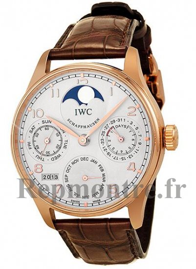 Réplique IWC Portuguese Perpetual Calendar IW502213 - Cliquez sur l'image pour la fermer