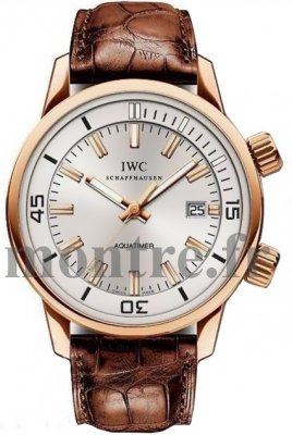 Réplique IWC Vintage Jubile Edition Aquatimer Automatique IW323103 - Cliquez sur l'image pour la fermer