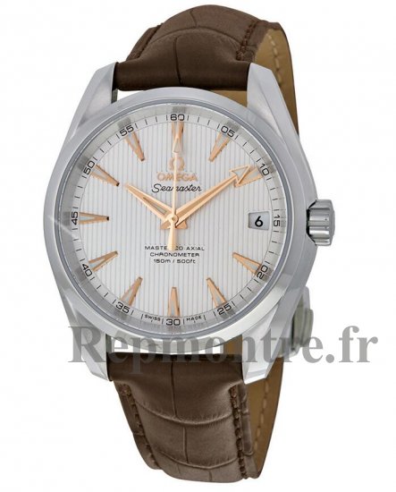 Réplique Omega Aqua Terra 150m Master Co-Axial Argent Cadran Marron Cuir 231.13.39.21.02.003 - Cliquez sur l'image pour la fermer