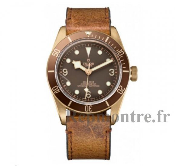 Réplique Tudor Heritage Automatique Hommes Bronze 79250BM-BRBRLS - Cliquez sur l'image pour la fermer