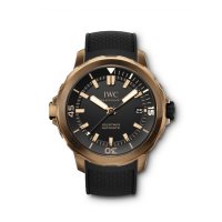 Réplique montre IWC Aquatimer Edition Collectors Forum IW341001