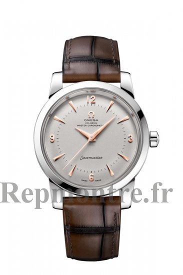 AAA Réplique Montre OMEGA Seamaster Platinum 511.93.38.20.99.002 - Cliquez sur l'image pour la fermer